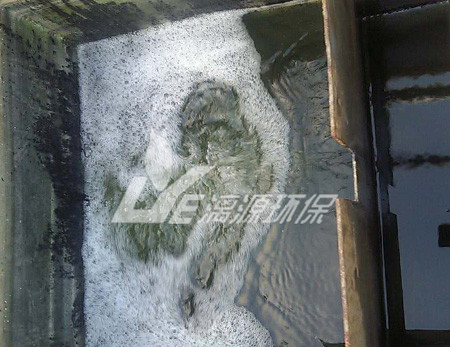 涂料化工廢水處理的生物法有哪些？
