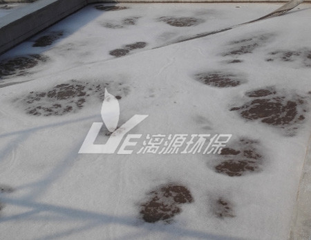 你的氣浮效果為什么不好？有著幾種影響因素！