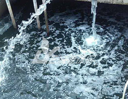 松香廢水處理技術(shù)，可以快速達(dá)標(biāo)