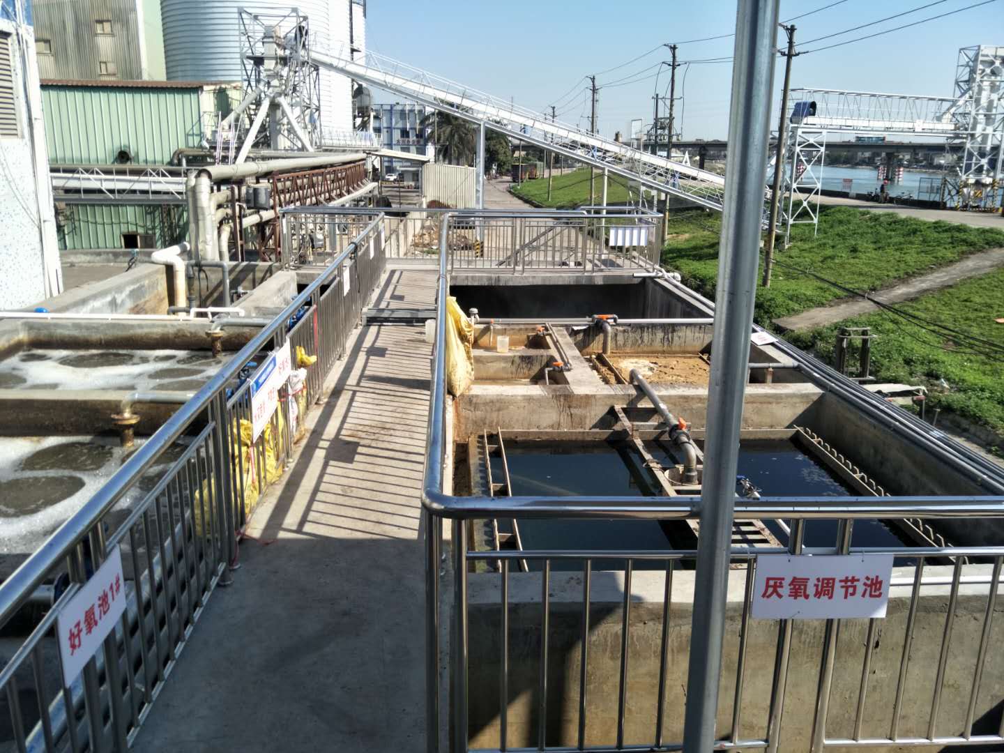 食品廢水植物處理技術(shù)，你知道嗎？